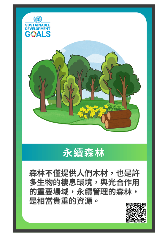 解方牌-永續森林