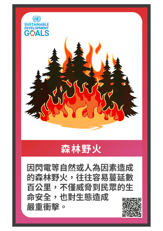 危機牌-森林野火
